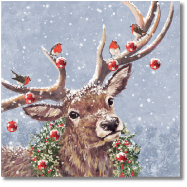 Christmas cards: Stag and Robins (Pack of 10)